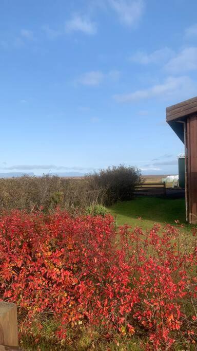 Fossar Villa Kirkjubaejarklaustur Luaran gambar
